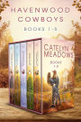 Havenwood Cowboys Romance Series: A Small Town Romance Bundle