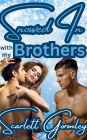 Snowed In With My Brothers: A taboo brother/sister/brother incest erotic romance