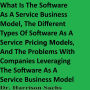 What Is The Software As A Service Business Model And The Different Types Of Software As A Service Pricing Models