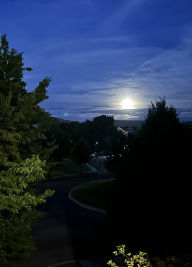 Title: Fierce Whispers, Author: Madilyn Jensen