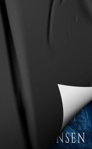 Title: The Theory of Everything: Shadows & Light Book Two, Author: G. S. Jennsen