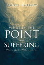 What Is The Point In Suffering From God's Perspective