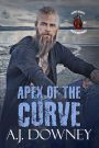 Apex Of The Curve