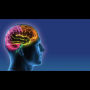The Silent Mind Unlocking the power of Introverted Intelligence: introverson