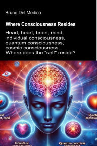 Title: Where Consciousness Resides, Author: Bruno Del Medico