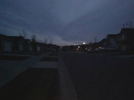 Title: The Book of The Black Thorn, Author: Brandon Torelle