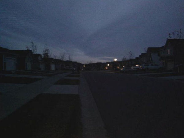 The Book of The Black Thorn