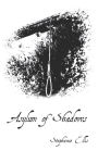 Asylum of Shadows