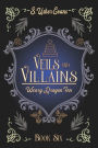 Veils and Villains: A Cozy Fantasy Book