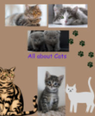 All About Cats