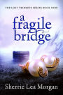 a fragile bridge