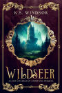 Wildseer: A Lost Citadels of Andrysfal Prequel