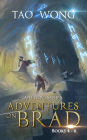 Adventures on Brad Books 4 - 6: A LitRPG Fantasy Series