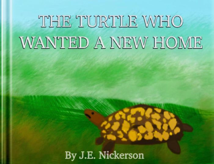 The Turtle Who Wanted A New Home by J. E. Nickerson | eBook | Barnes ...