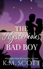 The Mysterious Bad Boy