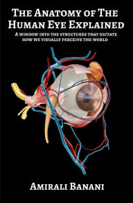 Title: The Anatomy of The Human Eye Explained: A window into the structures that dictate how we visually perceive the world, Author: Amirali Banani