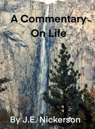 Title: A Commentary On Life: 30 Day Motivational Devotion For Every Day Life, Author: J. E. Nickerson