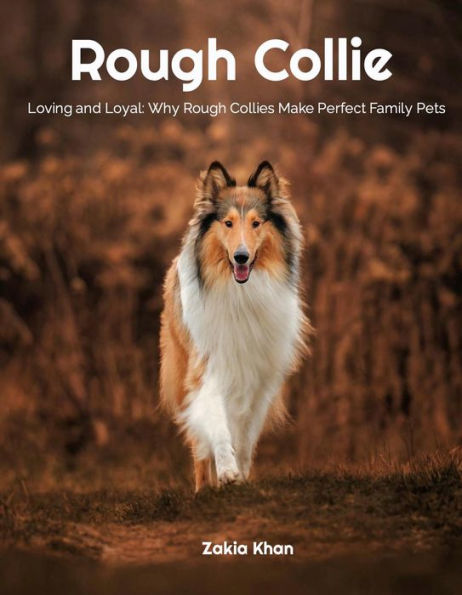 Rough Collie:Loving and Loyal:Why Rough Collies Make Perfect Family Pets