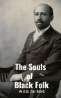 The Souls of Black Folk