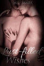 Lust-filled Wishes: a short collection of erotica stories