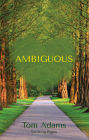 Ambiguous