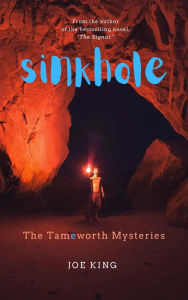 Title: Sinkhole, Author: Joe King