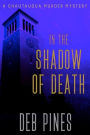 In the Shadow of Death: A Chautauqua Murder Mystery