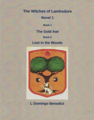 The Witches of Lambsdore - Novel 1: The Gold Awl and Lost in the Woods