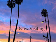 Title: Now Visiting, Author: Kayla Linkletter