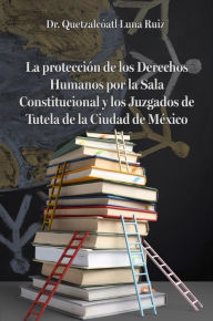 Title: La protección de los derechos humanos por la sala constitucional y los juzgados de tutela de la ciudad de México, Author: Dr. Quetzalcóatl Luna Ruiz