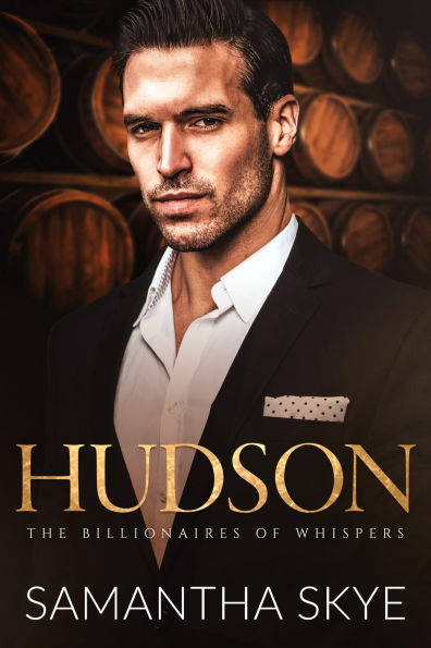 Hudson: A Small Town Billionaire Romance
