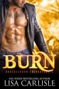 Title: BURN: a vampire versus shifter rockstar romance, Author: Lisa Carlisle