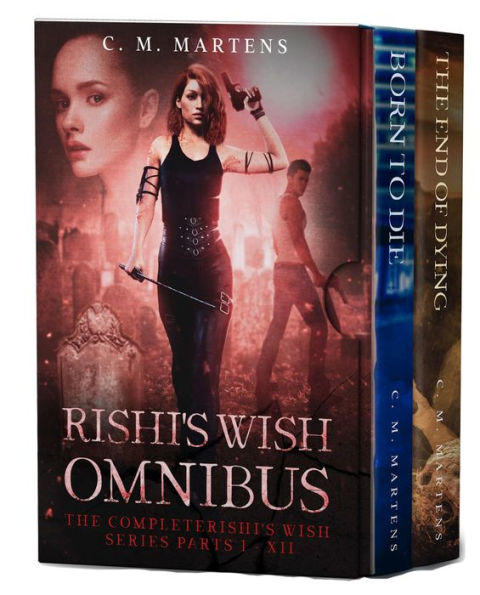 Rishi's Wish Omnibus II: Rishi's Wish, parts X - XII