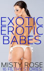 Exotic Erotic Babes: 16 Filthy Stories