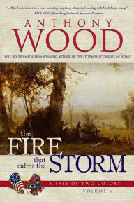 Title: The Fire that Calms the Storm: A Story of the Civil War, Author: Anthony Wood