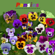 Title: Pansies, Author: Ian Wood