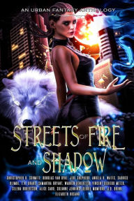 Title: Streets of Fire and Shadow: an Urban Fantasy Anthology, Author: Christopher D. Schmitz