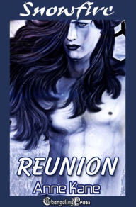 Title: Reunion (Snowfire 3): A BDSM Women's Fiction Hot Flash, Author: Anne  Kane