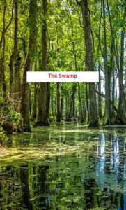 Title: The Swamp, Author: Alex Mel