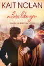 A Love Like You: A Friends to Lovers, Forced Proximity, Holiday Road Trip Small Town Romance