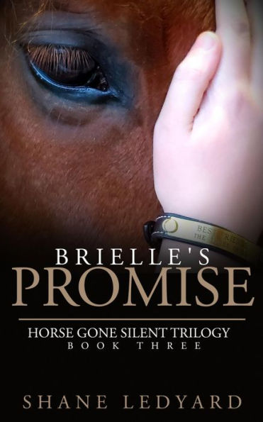 Brielle's Promise: (Horse Gone Silent Trilogy Book Three)