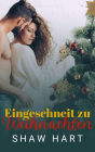 Eingeschneit zu Weihnachten