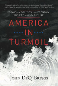 Title: America in Turmoil: Essays on Politics, the Economy, Society, and the Future, Author: John DeQ. Briggs