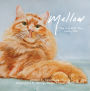 Mellow: The Cat with The Curly Tail