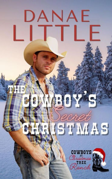 The Cowboy's Secret Christmas