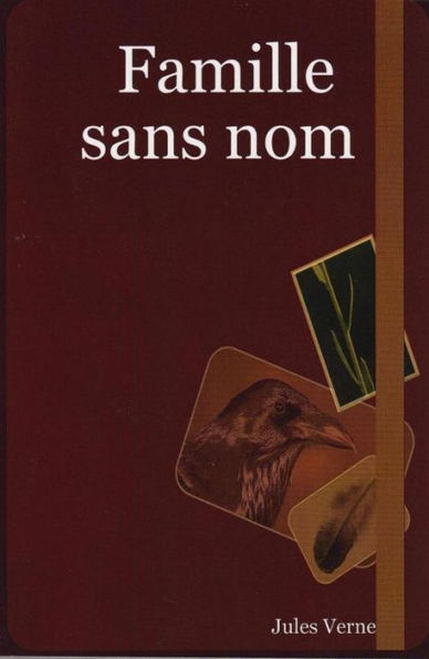 Famille sans nom (Edition Intégrale en Français - Version Entièrement Illustrée) French Edition