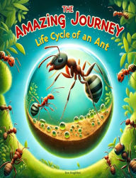 Title: The Amazing Journey: Life Cycle of an Ant, Author: Tee Bogitini