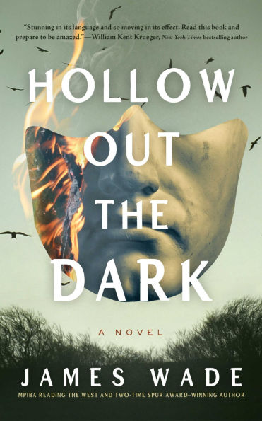 Hollow Out the Dark: A Novel