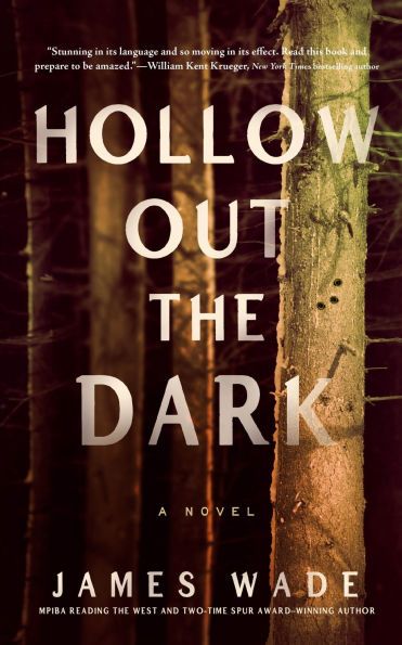 Hollow Out the Dark: A Novel