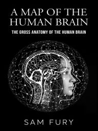 Title: A Map of the Human Brain: The Gross Anatomy of the Human Brain, Author: Sam Fury